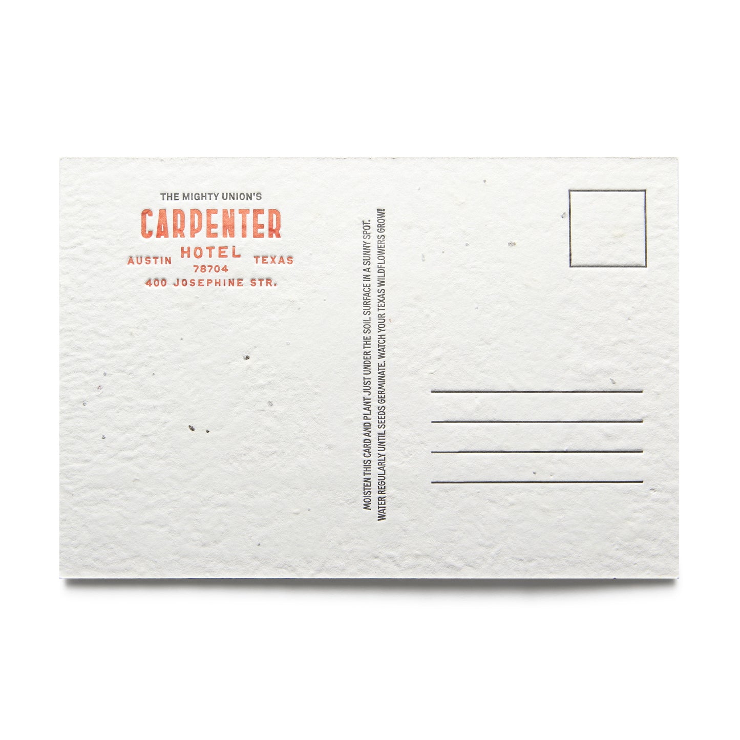 Lady Bird Letterpress Seeded Postcard